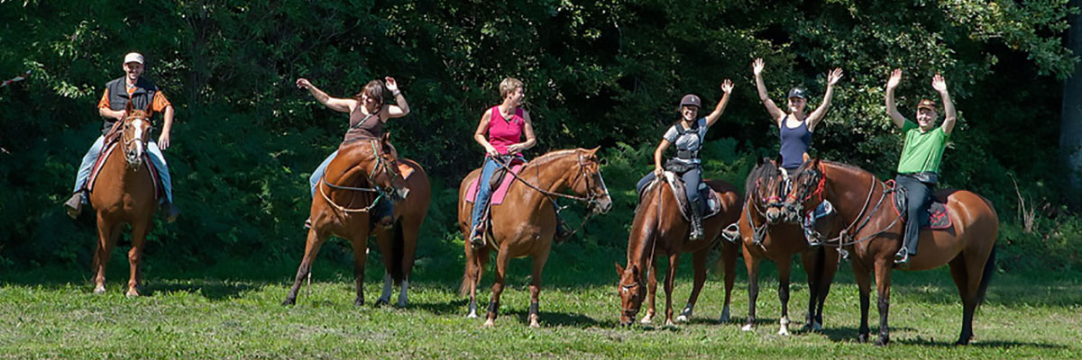 Le monde du cheval